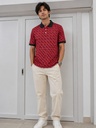 Polo shirt FRANCZIONI
