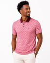 POLO shirt FRANZIONI /Dark burgundy collar