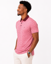 POLO shirt FRANZIONI /Dark burgundy collar