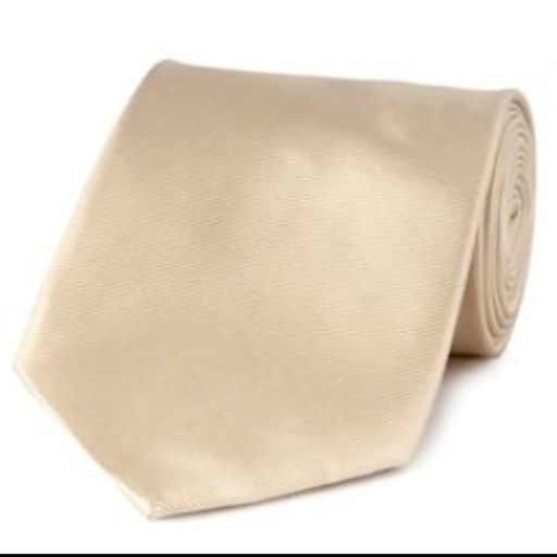 HAWES & CURTIS TIE PLAIN