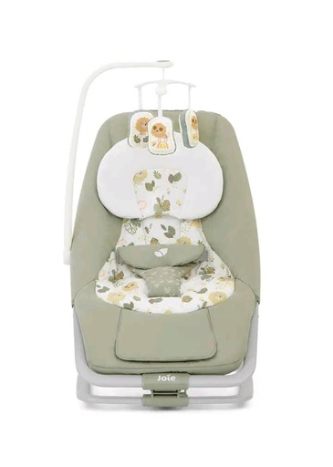 JOIE MEET DREAMER ROCKER SOUS LA PLUIE 3.50KG