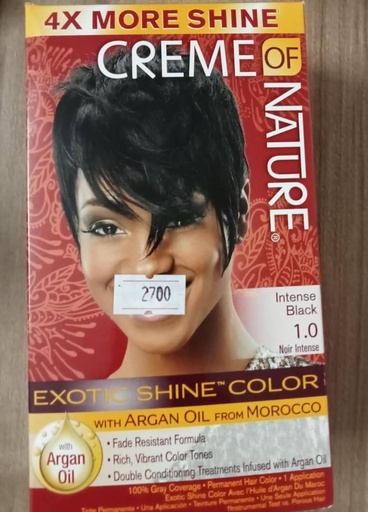 [NOIR INTENSE 1.0] COULEUR DE CHEVEUX (NOIR INTENSE)